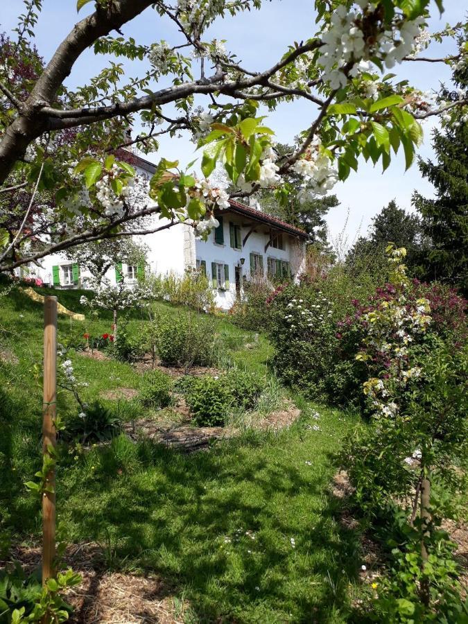 Bed and Breakfast Chez Cathy Arzier Zewnętrze zdjęcie