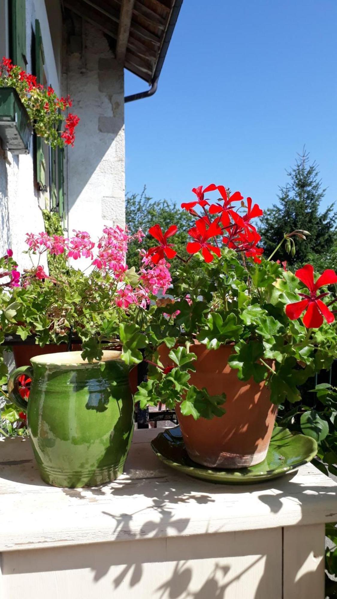 Bed and Breakfast Chez Cathy Arzier Zewnętrze zdjęcie